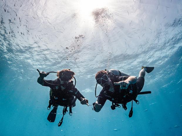 divers posing under water for a photo